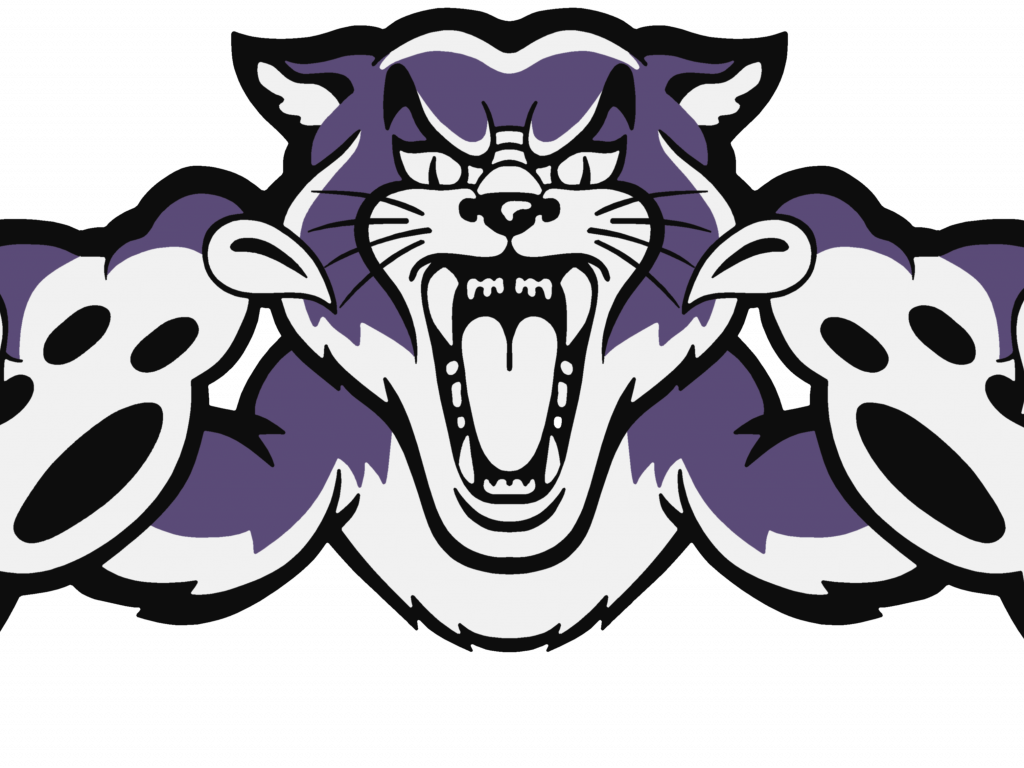 Download Comely Wildcat Mascot Images - Download Comely Wildcat Mascot Images (1024x768)