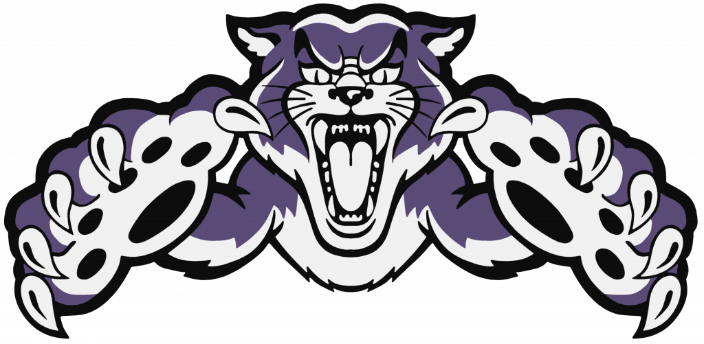 Download Comely Wildcat Mascot Images - Download Comely Wildcat Mascot Images (1024x501)
