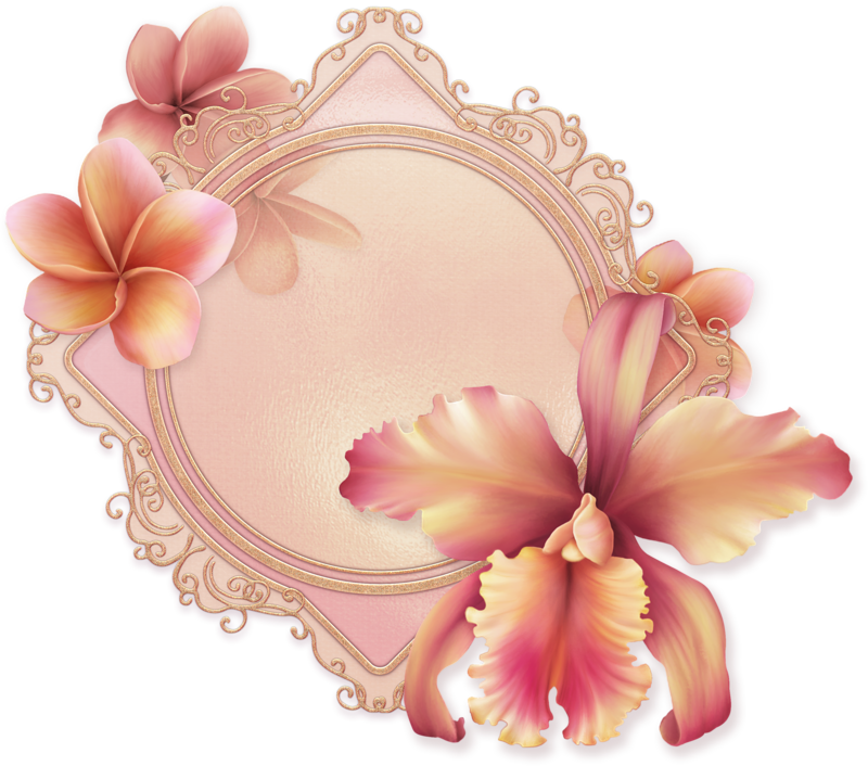 Ярлычки С Цветами, Роза - Portable Network Graphics (800x706)