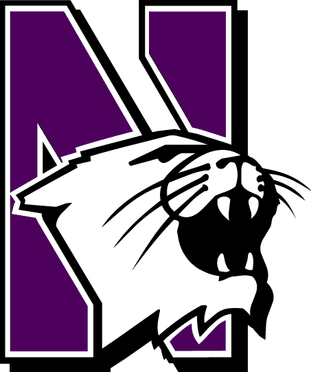2012 Northwestern Wildcats Football Team - Northwestern University Wildcats Logo (453x541)
