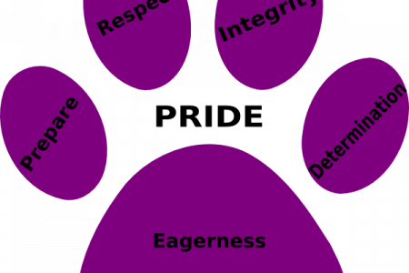 Purple Clipart Wildcat - Wildcat (450x300)