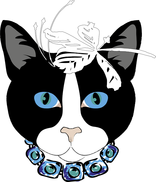 Wildcat Face Cliparts 25, Buy Clip Art - Cat (617x720)