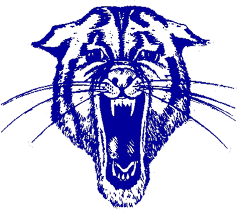 Wildcat Clipart Hector - Hector Wildcats (512x512)