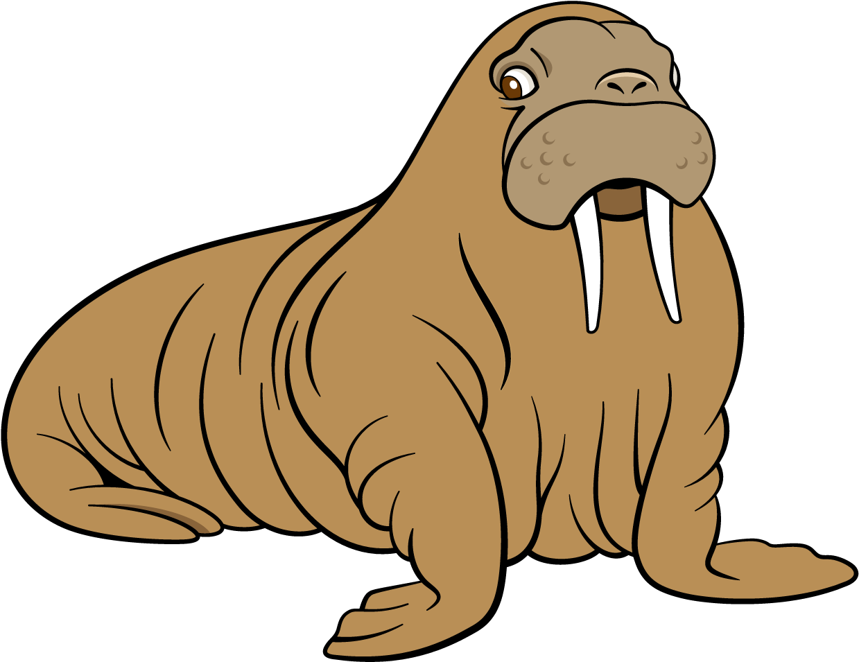 Walrus Sea Lion Dog Cartoon - Cartoon Sea Lion (1276x1276)