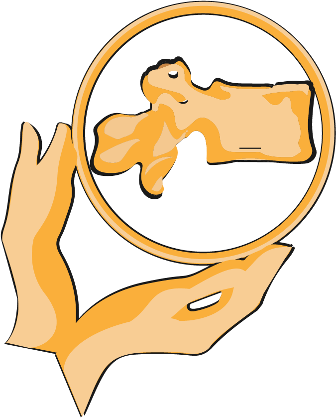 Book Covers - Book Covers (730x897)