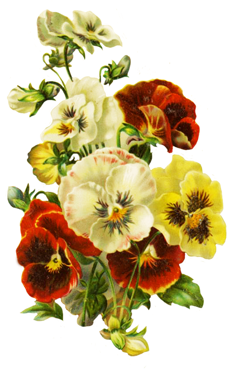 Bouquet Of Pansies - Wedding Invitation (541x768)