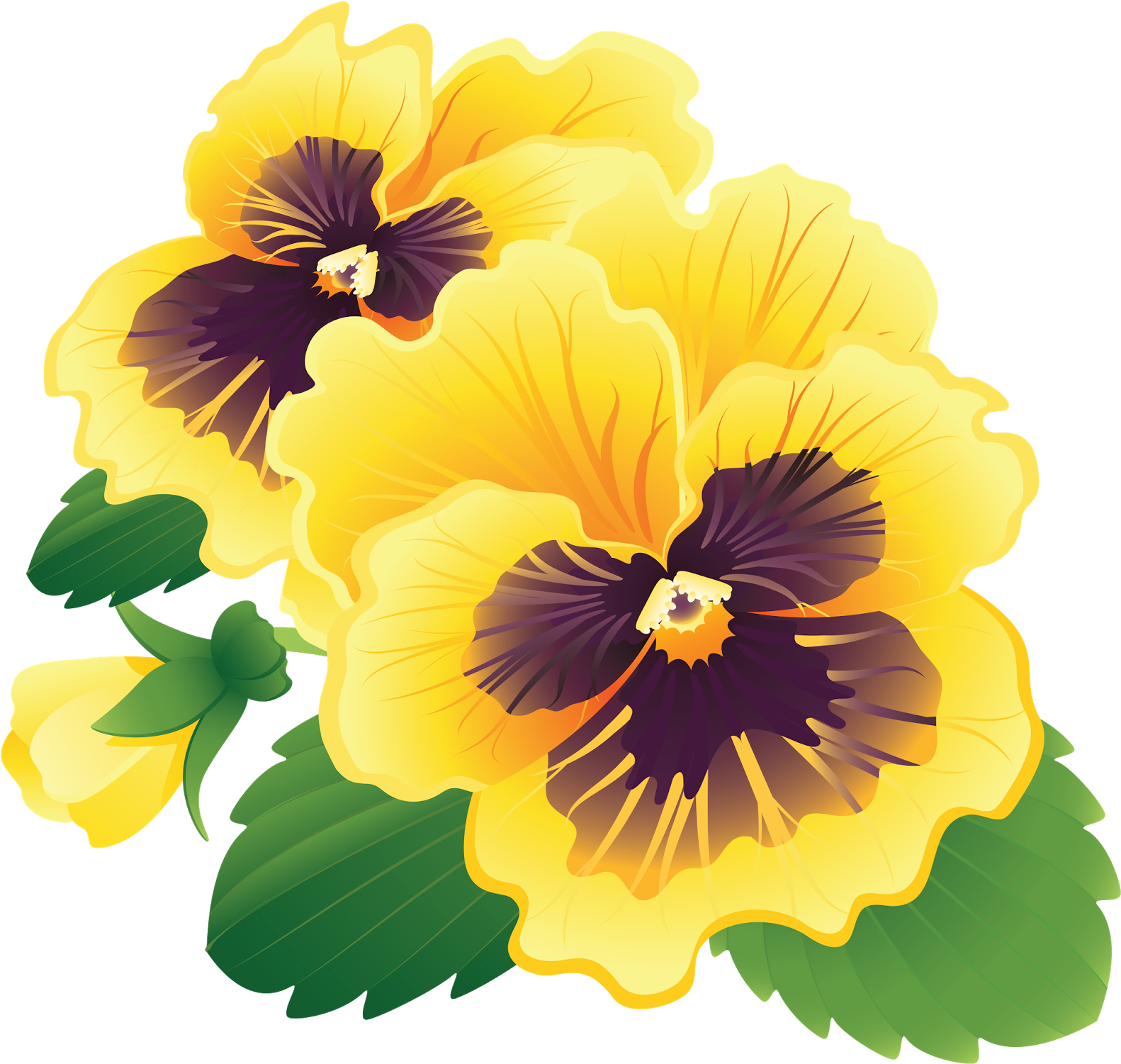 Png clipart. Анютины глазки вектор. Анютины глазки цветы вектор. Анютины глазки оранжевые. Цветы на прозрачном фоне.