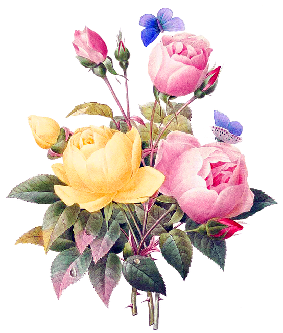 Flowers, Vintage, Cutout, Cut Out, Backless, Bouquet - Rose Flowers Vintage (720x720)