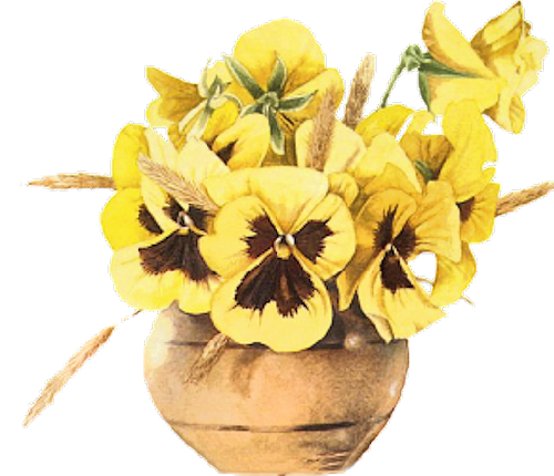 09 21 2016 Yellow Pansies In Round Brass Toned Bowl - Gifs Animés Fleurs Pensées (500x430)