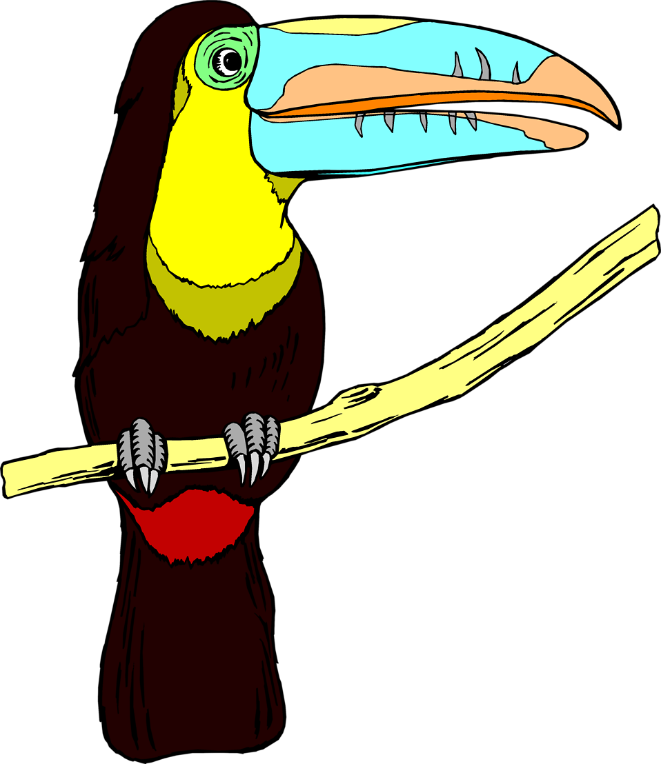 There Is 20 Antique Bird Free Cliparts All Used For - Toucan Clipart No Background (958x1108)