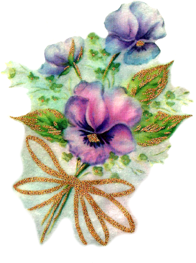 The First Digital Pansy Image Is A Very Lovely Blank - Pansy (780x992)
