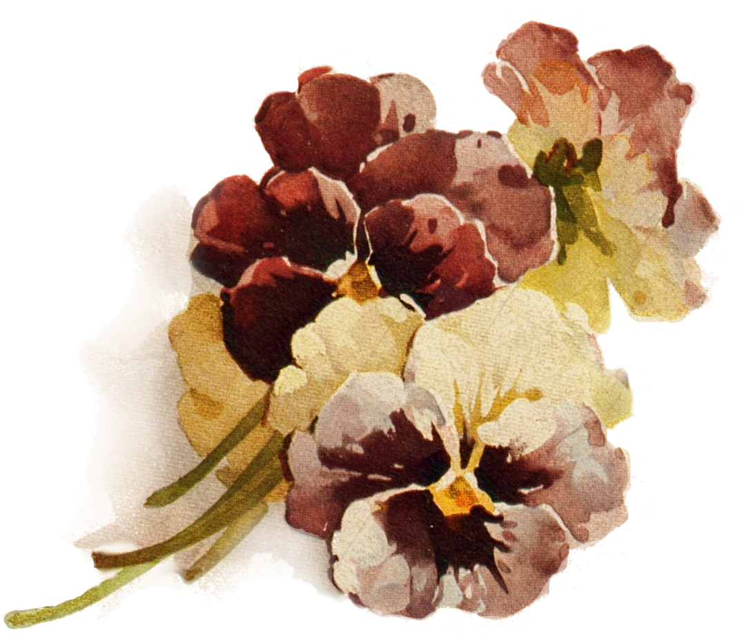 Autumn's Crowning Glory ~ Png File, Pansies - Slike Cveca Za Dekupaz (1161x1050)