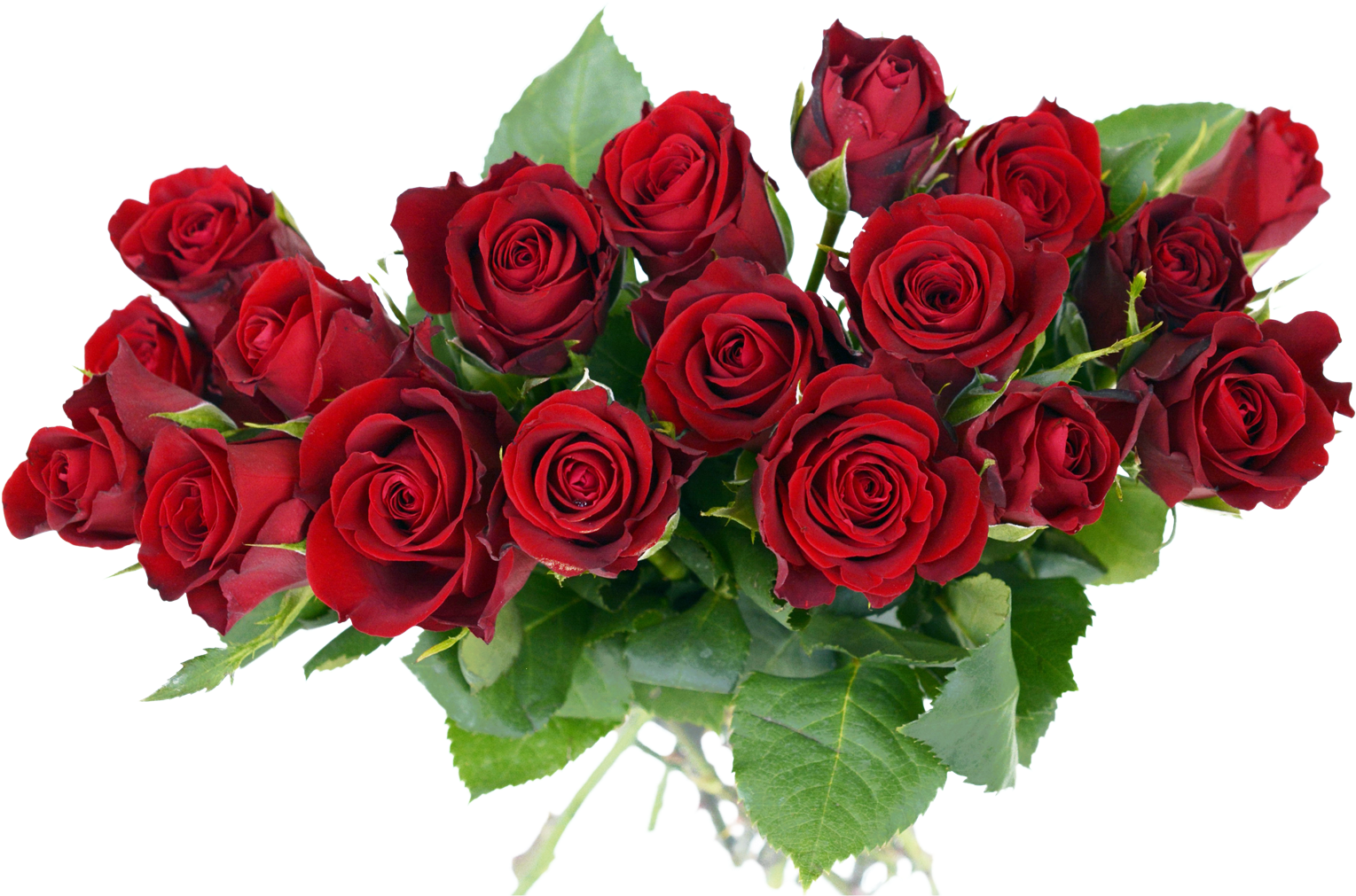 Rose Bouquet Png Transparent Image - Flower Bouquet Png (1600x1067)