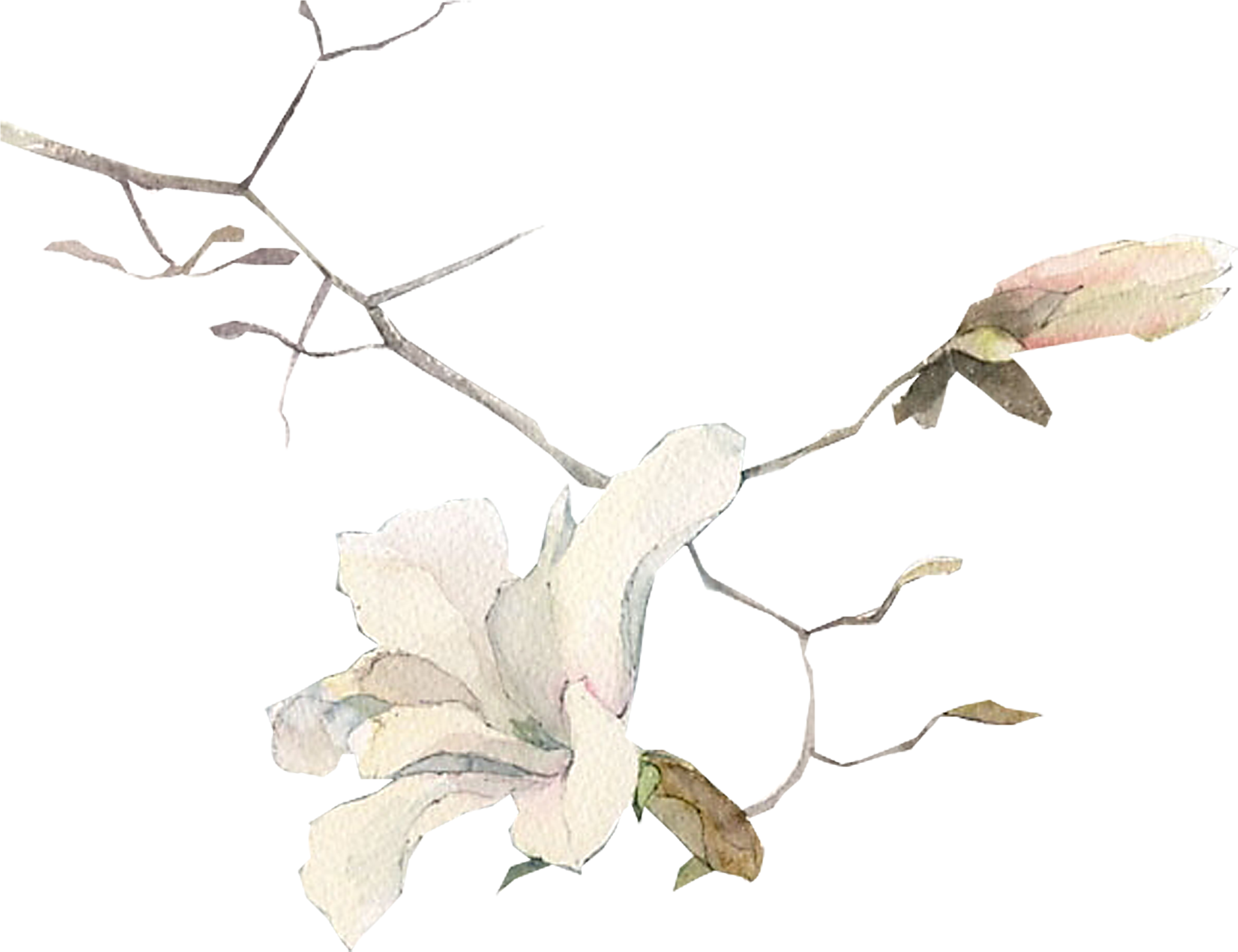 Drawing Watercolor Painting Art Illustration - Drawing Watercolor Painting Art Illustration (2916x2721)