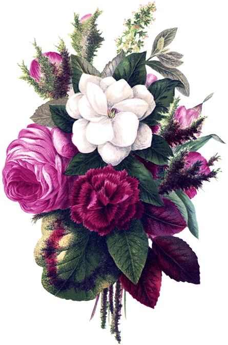 Flower Bouquet Decoration - Purple Flower Vintage Png (487x709)