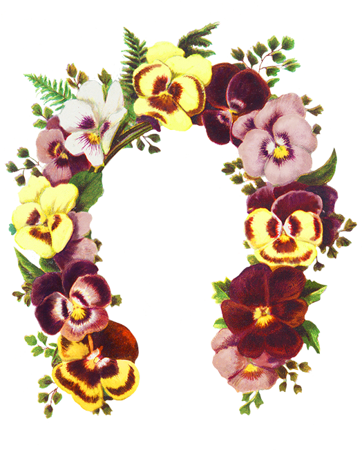 Flowers Shaped As A Horse Shoe - Santa Claus's Reindeer (533x650)