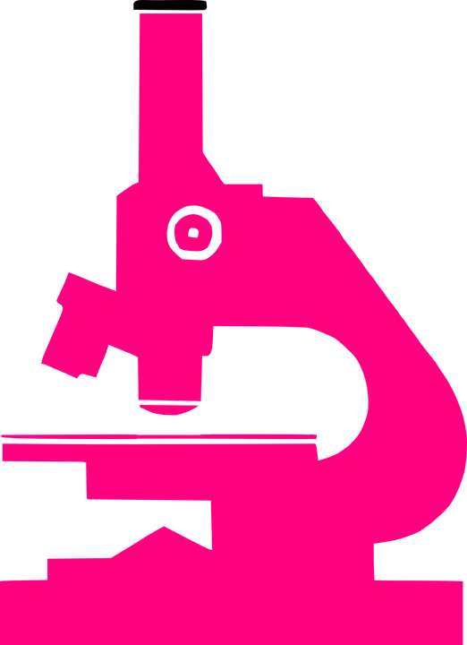 House Pink Cliparts 17, Buy Clip Art - Smk Kesehatan Tpa Jember (522x720)