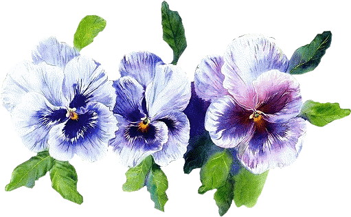 Pansies, Art Flowers, Vintage Cards, Wedding Invitation, - Bon Week End (561x335)