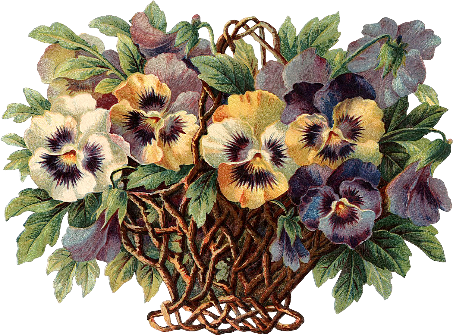 Http - //img Fotki - Yandex - Ru/get/5708/valenta Mog - Boxing (1525x1111)