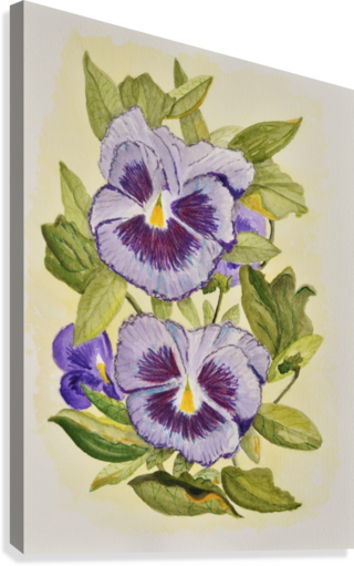 Purple Pansies Canvas Print - Zwei Lila Stiefmütterchenwatercolor-grußkarte Karte (320x511)
