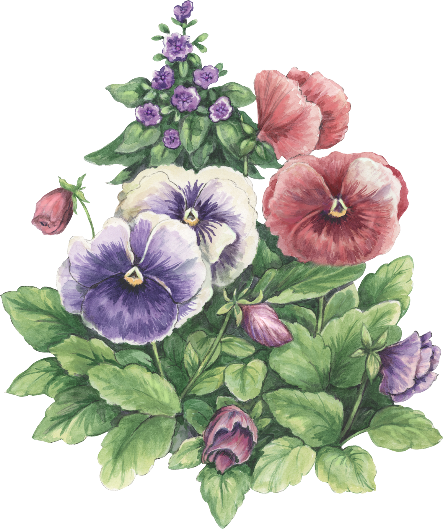 Photoshop, Papo, Decoupage, Pictures Of Flowers, Colouring - Potted Plants Watercolor (1500x1789)