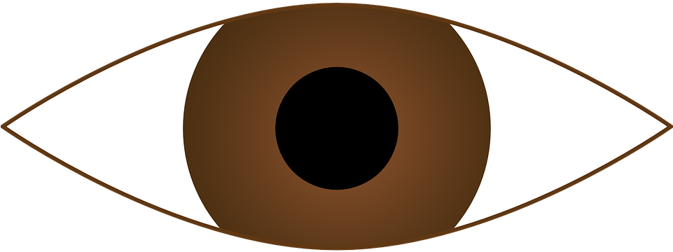 Brown Eyes Clipart - Brown Eye Clipart (960x480)