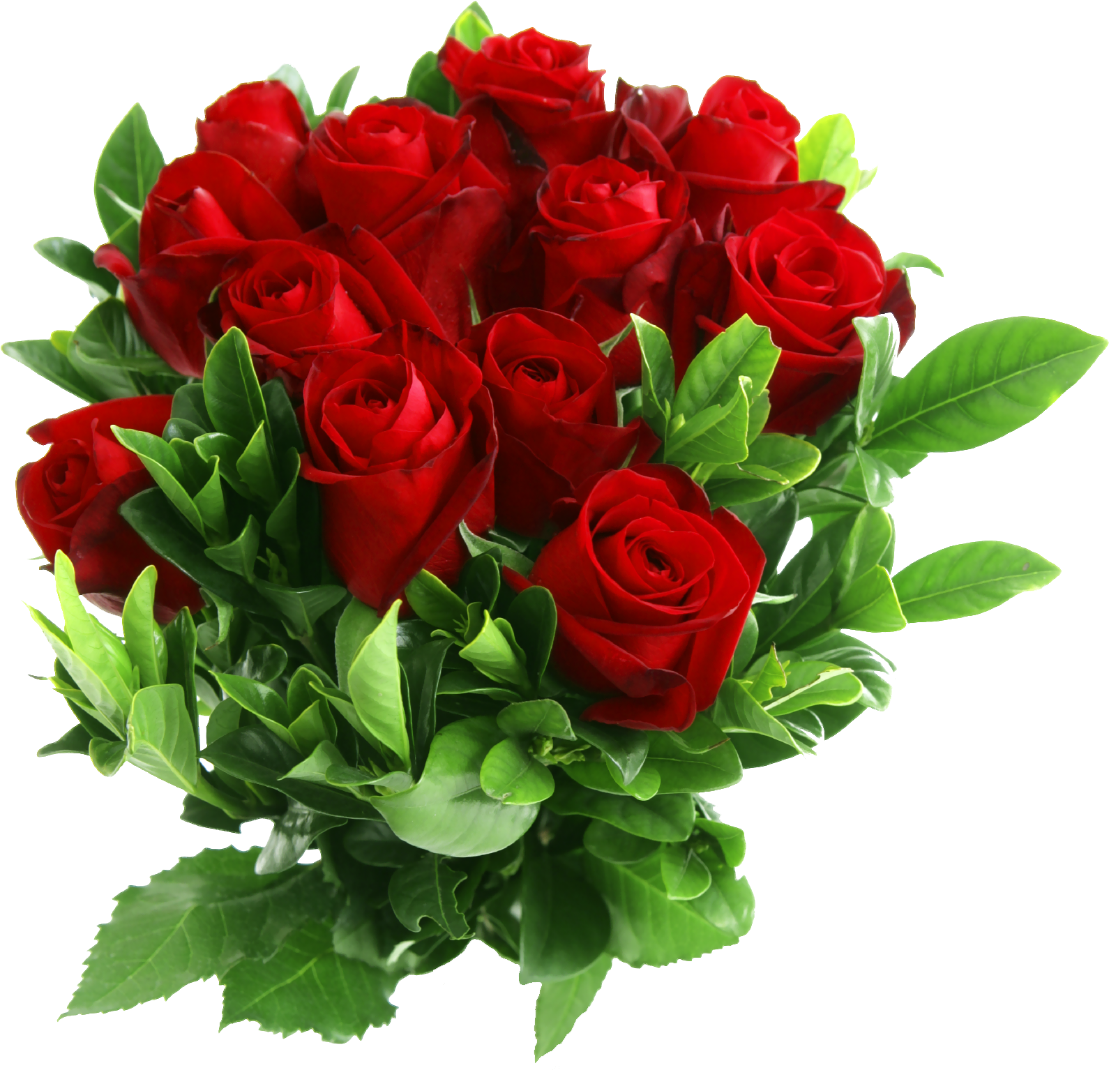 Red Rose Clip Art Png - Red Rose Flowers Png (1656x1581)
