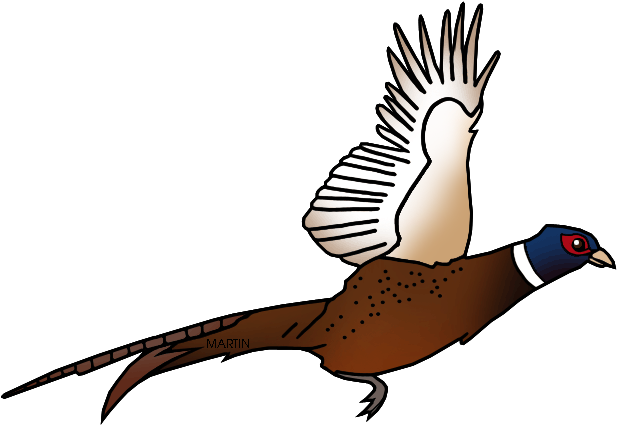 Free United States Clip Art By Phillip Martin, State - South Dakota's State Bird (648x446)
