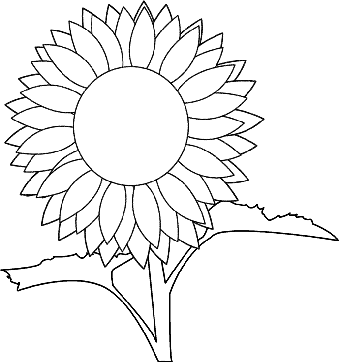 Katie And The Sunflowers Teaching Ideas - Sunflower (800x761)