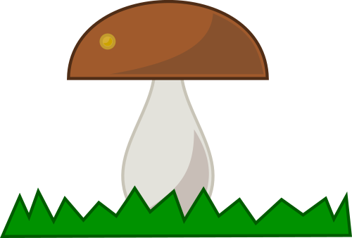 Mushroom - Mushroom (503x340)