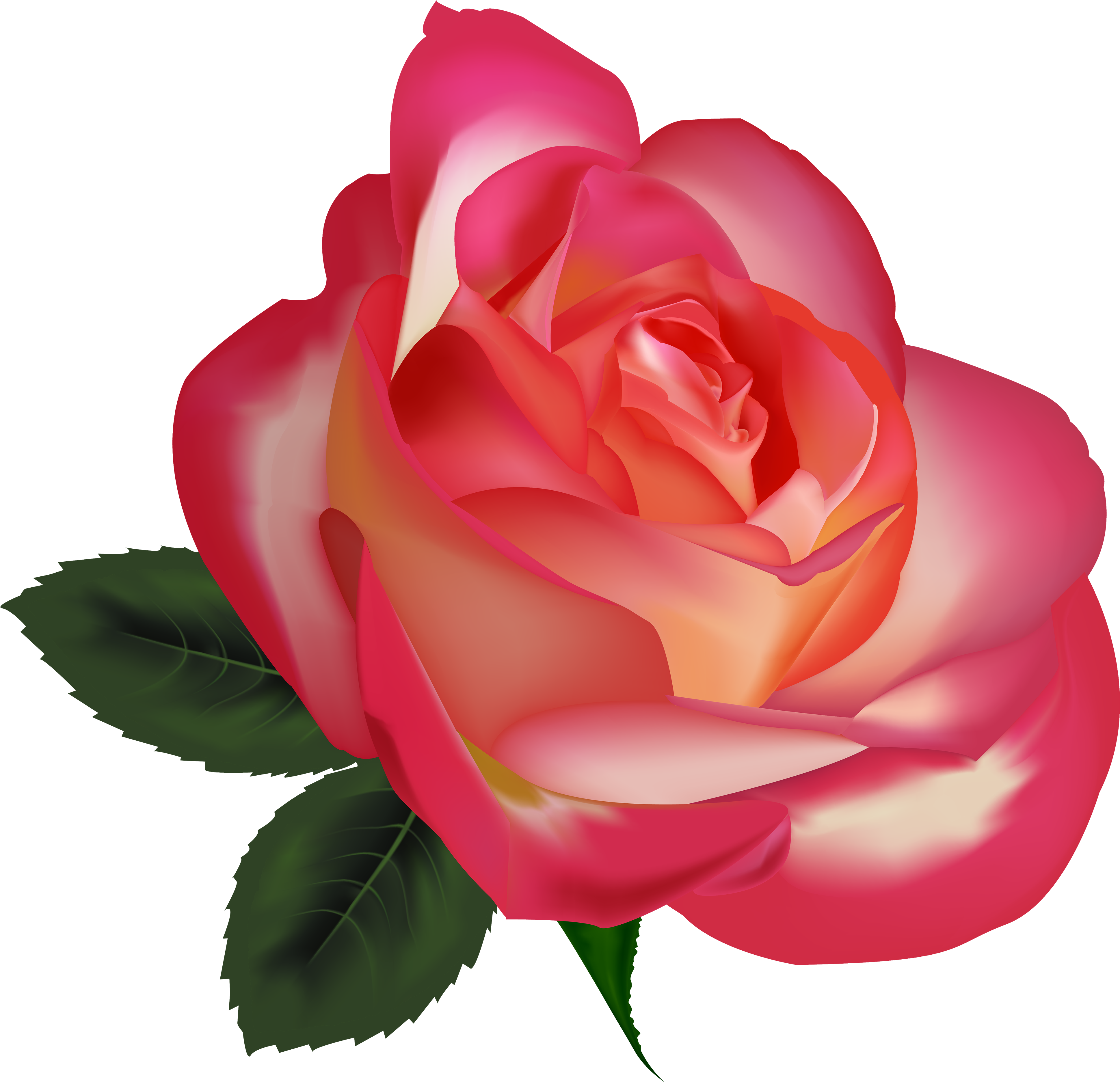 Beautiful Rose Png Clipart Image - Beautiful Rose Png Clipart Image (4000x3838)