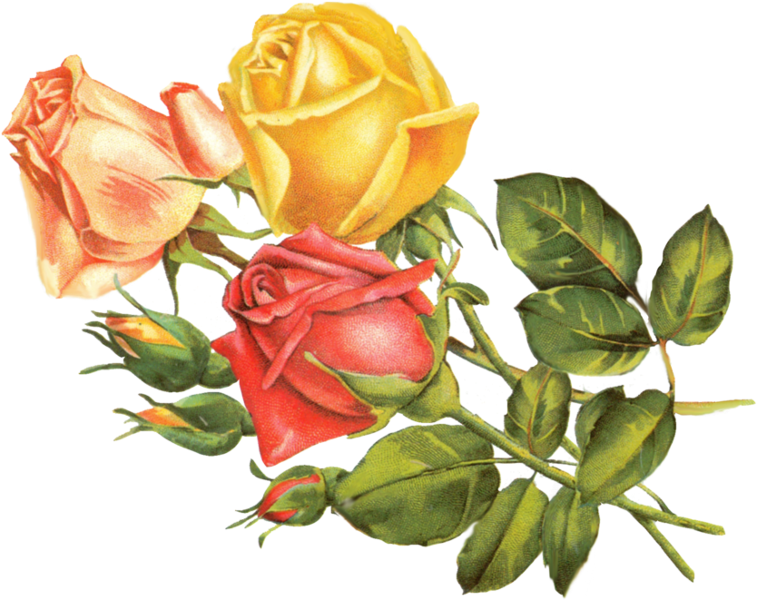 Vintage Flower Clipart Yellow Rose - Vintage Yellow Flowers Png (900x671)