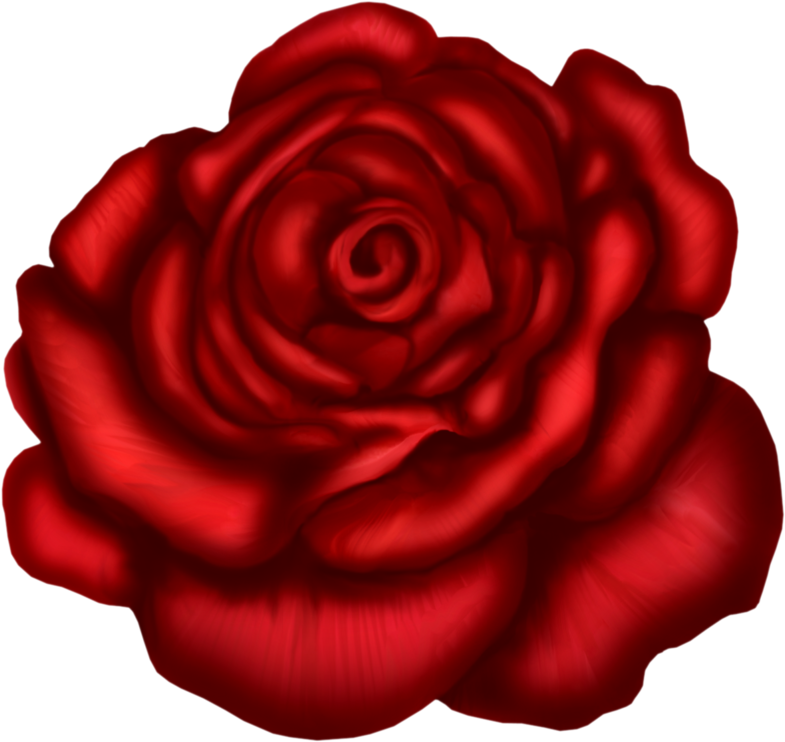Red Rose Clipart Dark Red - Rose Art Png (899x806)