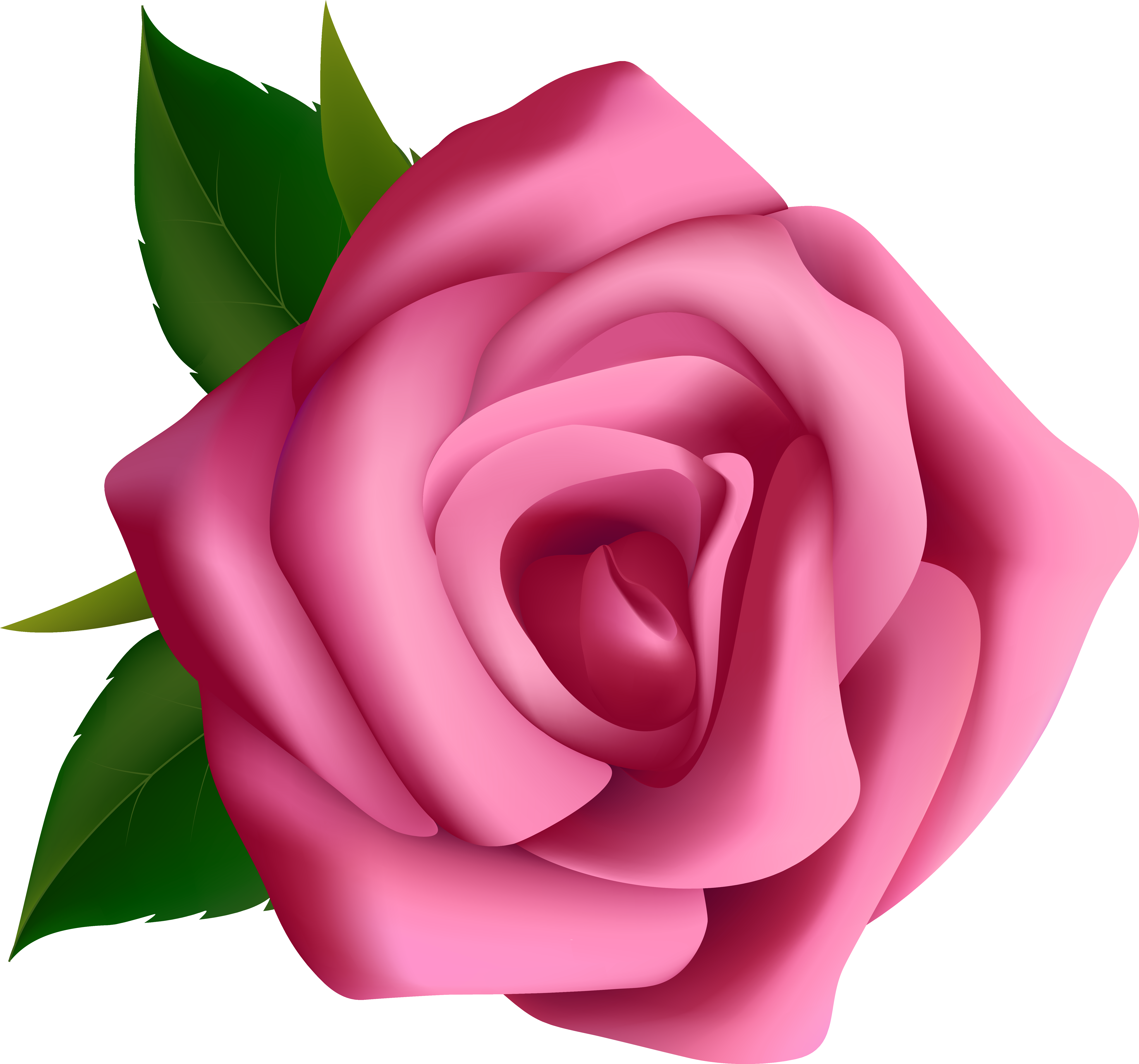Pink Rose Clip Art Png - Clip Art (6268x5859)