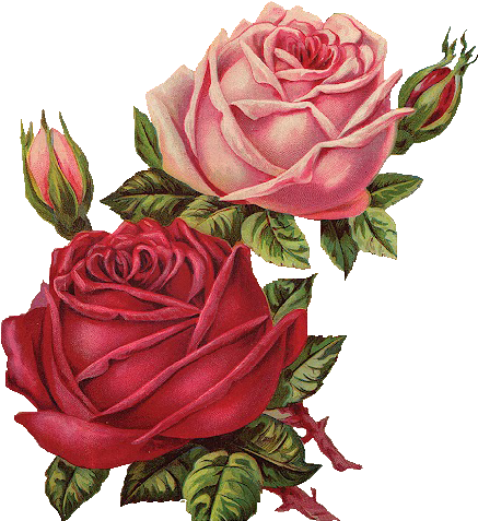 Angels With Roses Clipart - Red Roses Vintage Png (455x486)