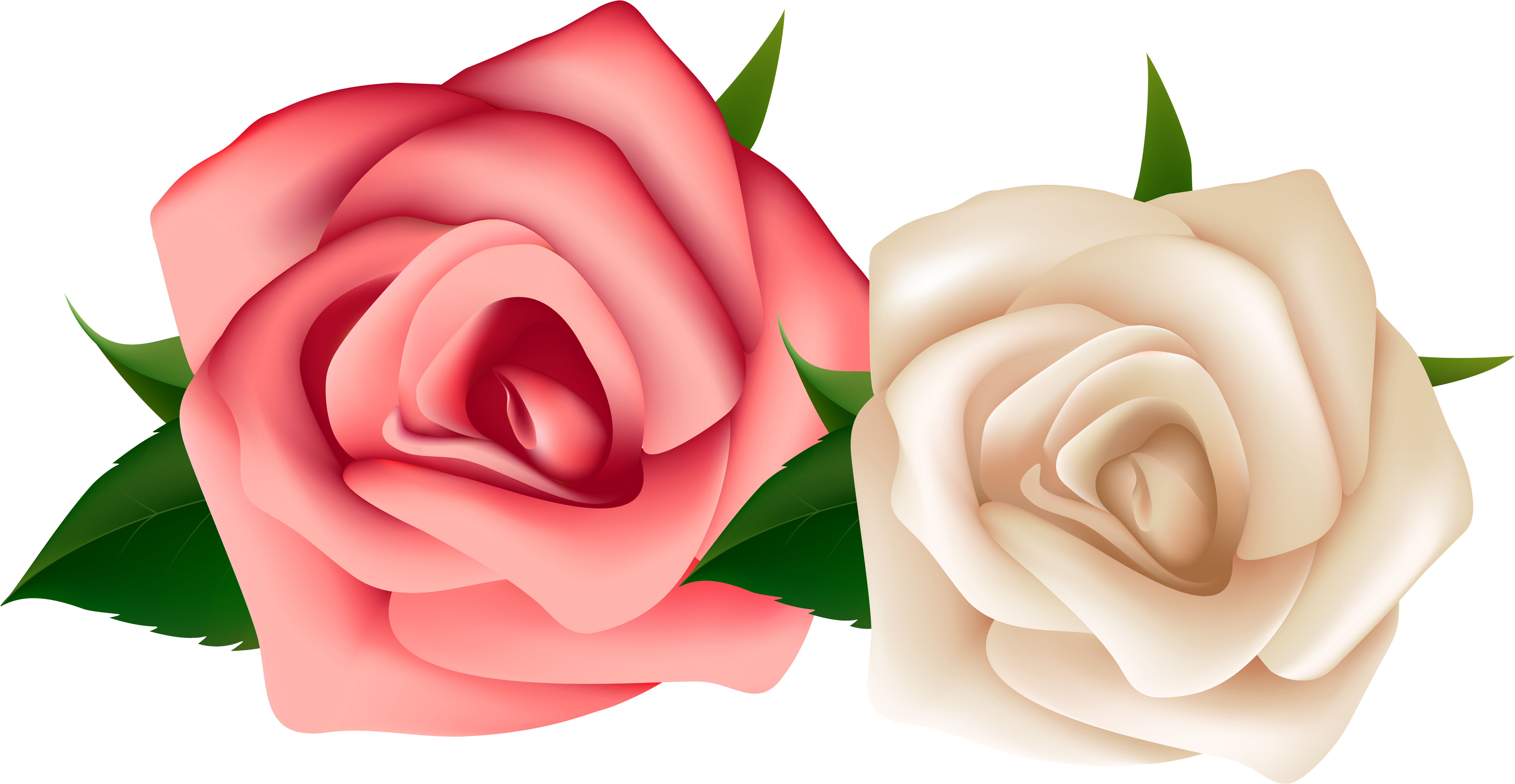 White Rose Clipart - Red And White Rose Png (6332x3349)
