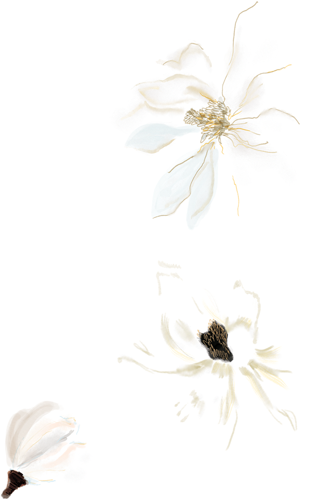 Watercolor Painting White Drawing - Weiß Gemaltes Magnolien-goldmonogramm Kissen (1000x1000)