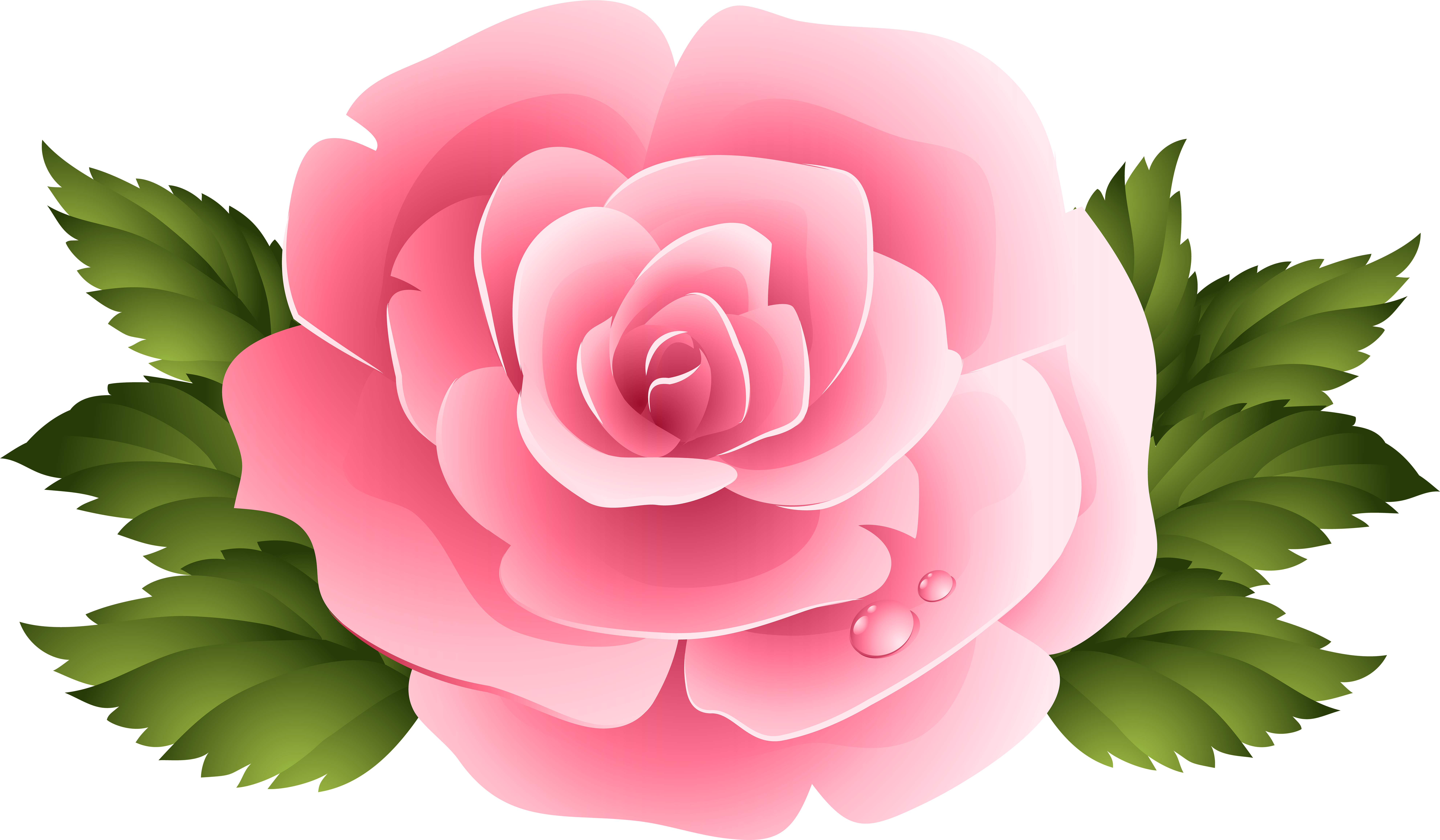 0, - Purple Roses Clipart (8000x4715)