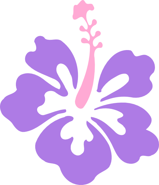 Hibiscus Solo Clip Art - Hawaii Flower (510x595)