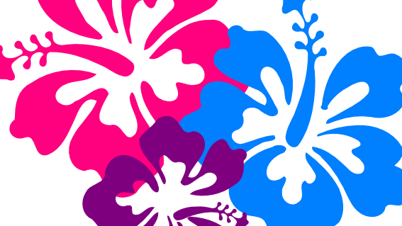 Hibiscus Clip Art Free - Hawaiian Flowers Clip Art (567x319)