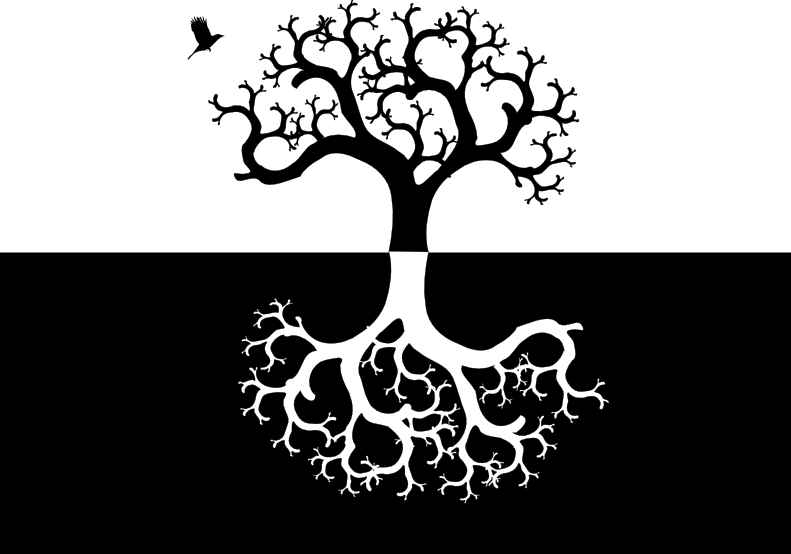 Albero Della Vita Yin E Yang - Tree And Roots Symmetrical (791x554)