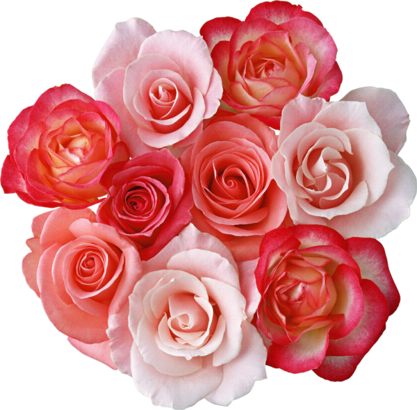 Bouquet Of Roses Clipart Clipartfox - Rose Flowers Clipart Png (600x590)