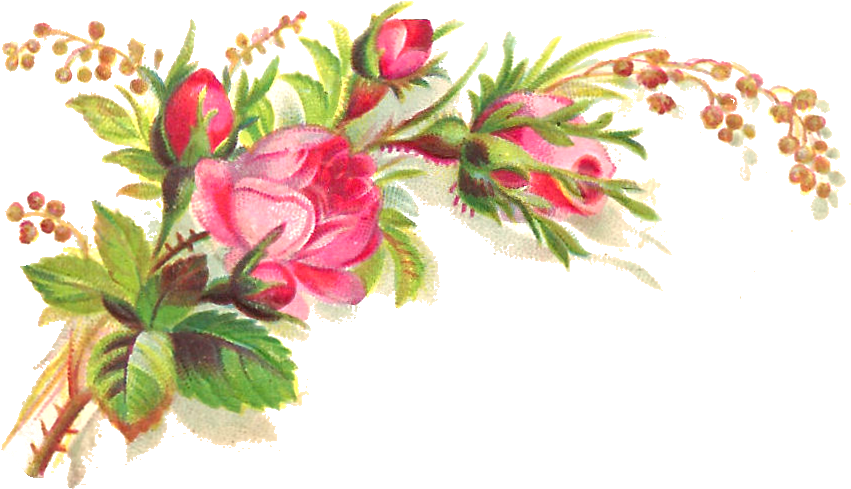 Free Flower Corner Border Clipart - Mothers Day Wishes Quotes (893x506)