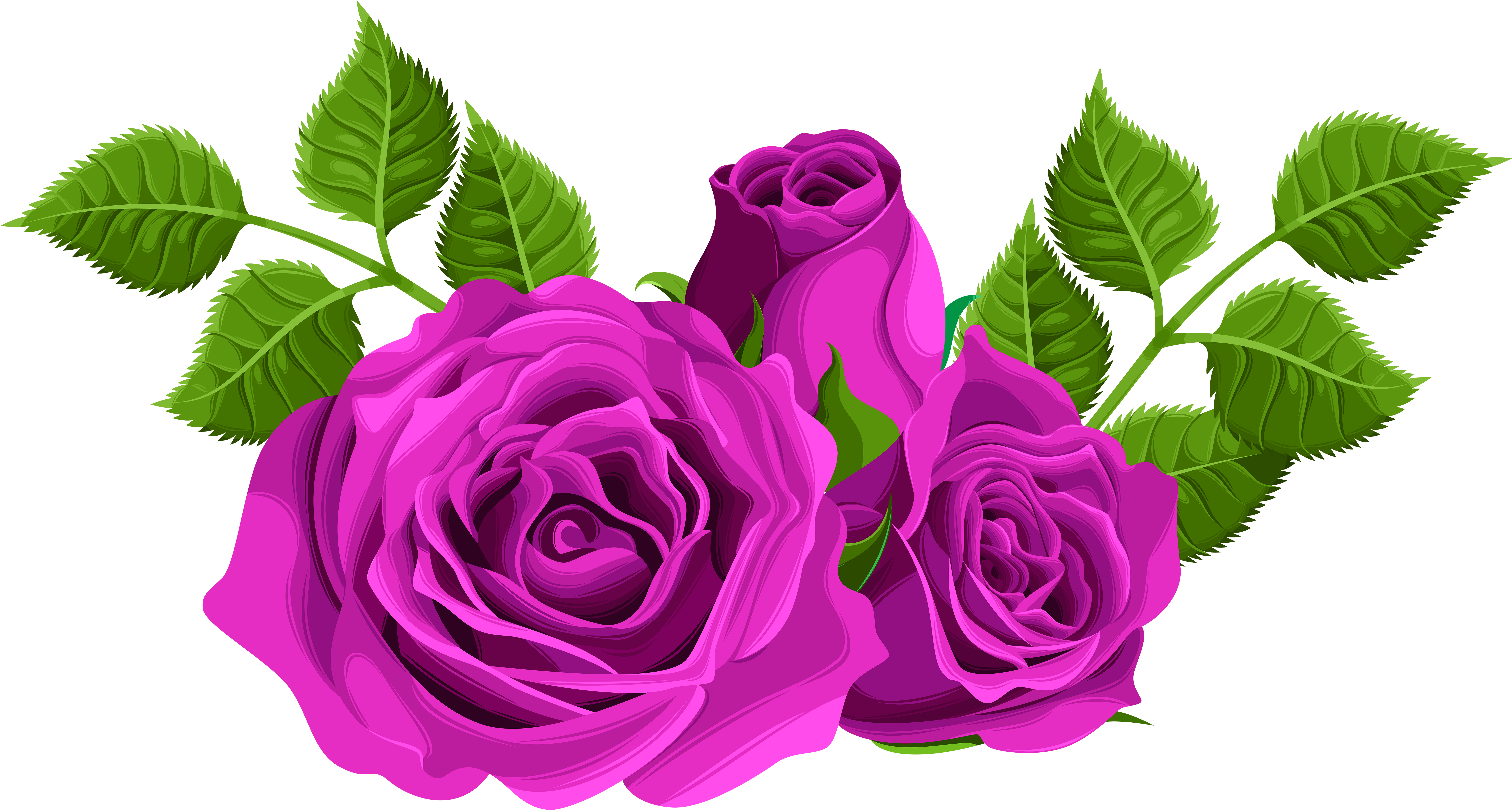 Purple Rose Clipart - Pink Roses Png.