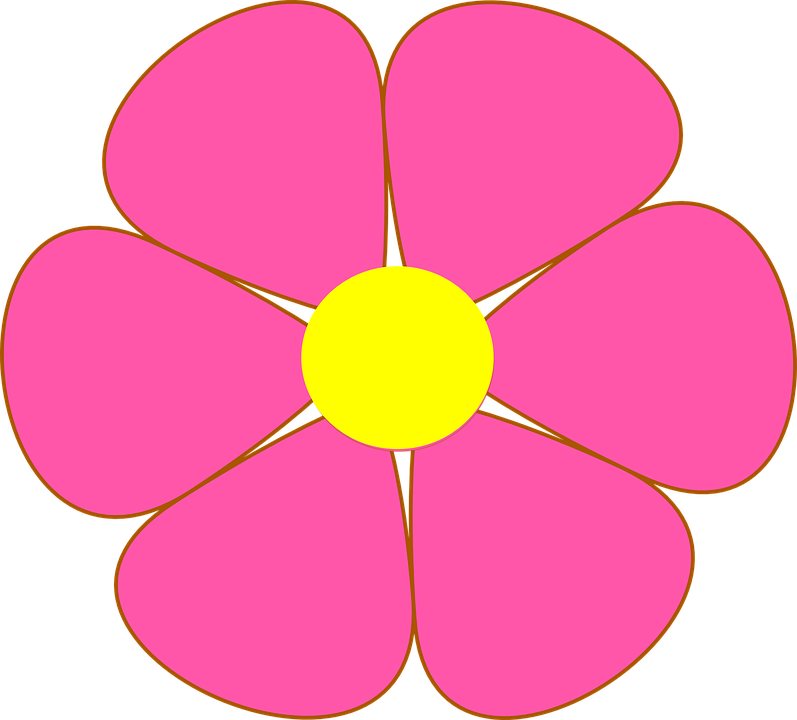 Hibiscus Flower Outline 22, Buy Clip Art - Transparent Background Floral Clip Art (797x720)