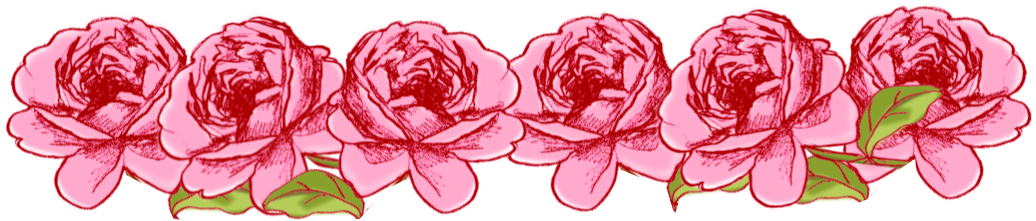 Pink Rose Clipart Png Tumblr 17 - Flower Borders (1141x313)