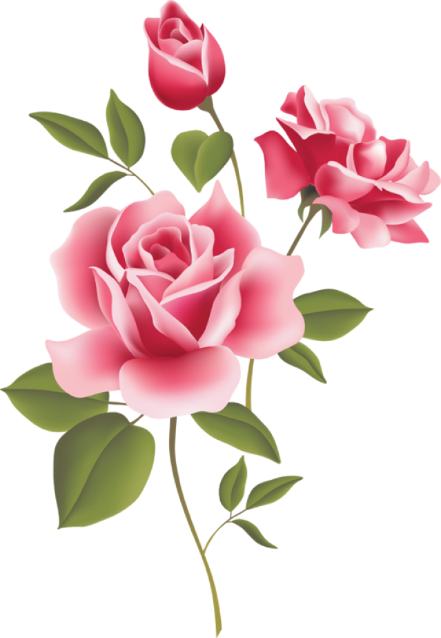 Pink Rose Borders - Pink Rose Clip Art Border (639x924)