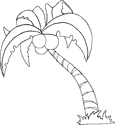 Printable Drawings And Coloring Pages - Coconut Tree White Png (600x470)