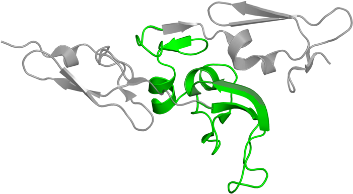 <div Class='caption-body'>1 Copy Of Cath Domain - Cartoon (800x800)