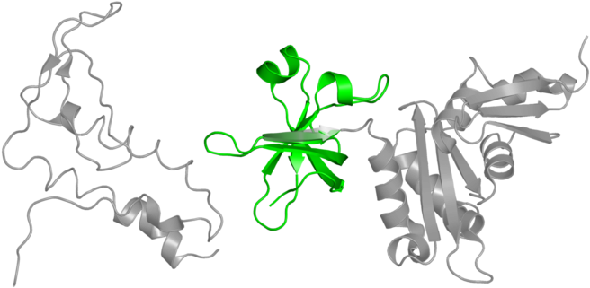 <div Class='caption-body'>1 Copy Of Cath Domain - Illustration (800x800)